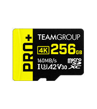256Gb Micro SD card replacement