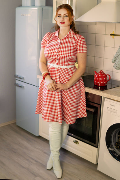 Penelope Rockabilly Red Gingham Shirt Dress