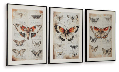 Jossletts - Wall Art Set (Set of 3) - Orange / Black / Ivory